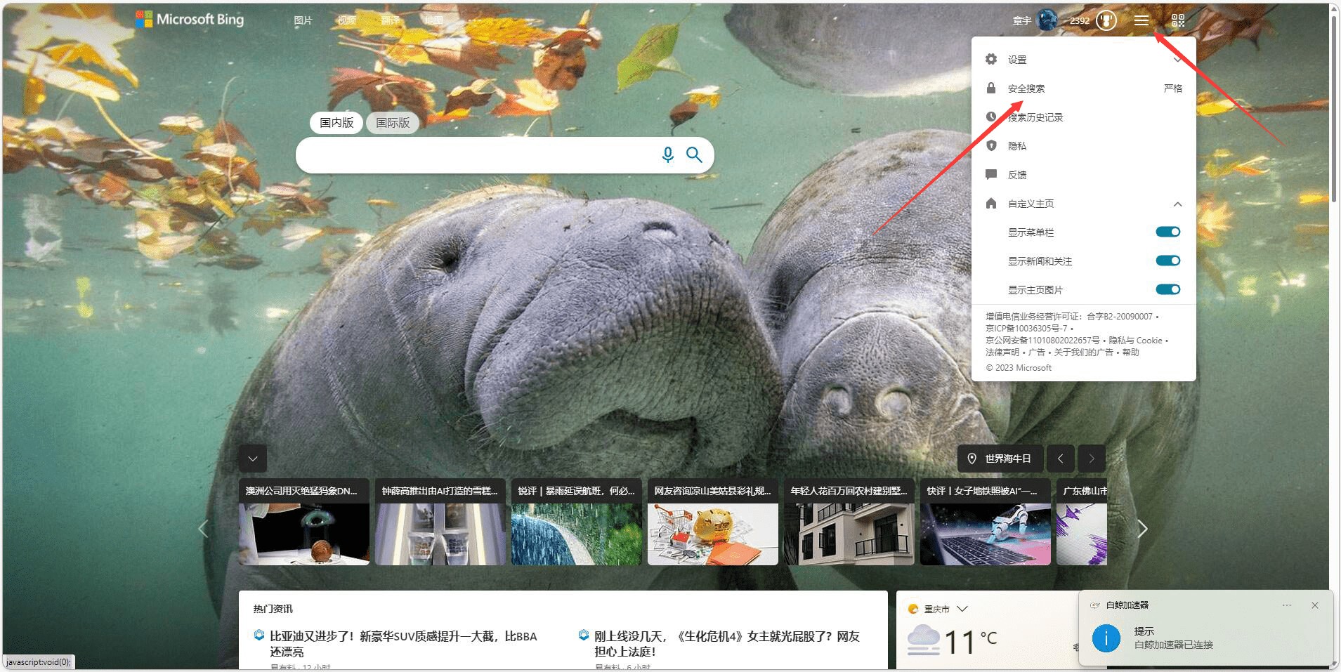 图片[2]-必应关闭安全搜索教程 - 日出资源网-日出资源网