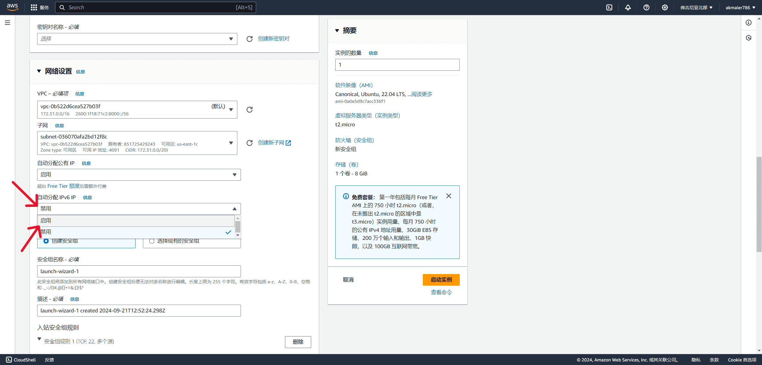 图片[11]-亚马逊云EC2 VPS开启IPv6教程-日出资源网